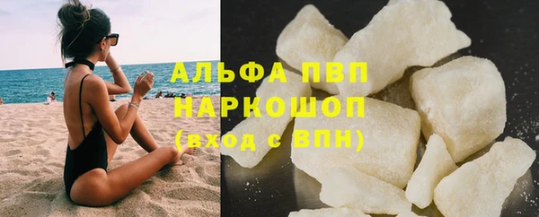 индика Абаза