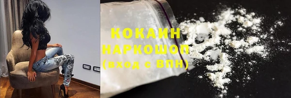 индика Абаза