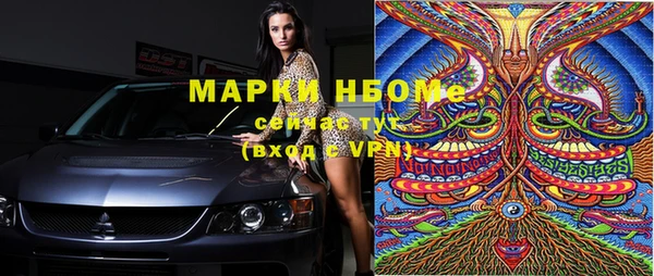 индика Абаза