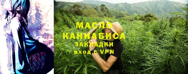 индика Абаза