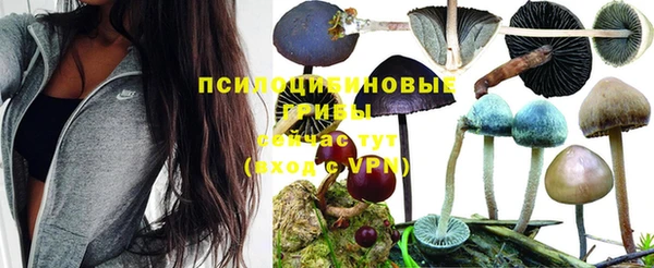 соль курить ск Абинск