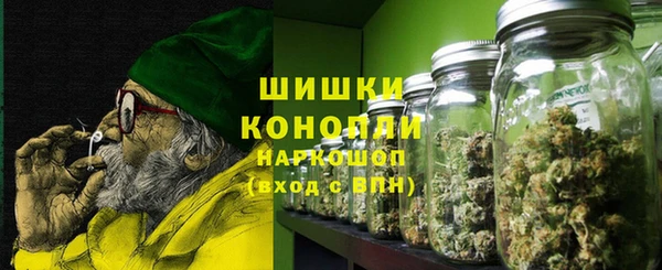 индика Абаза