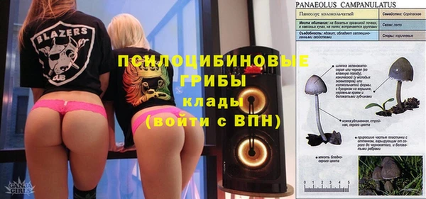 индика Абаза