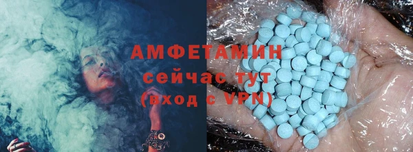 индика Абаза