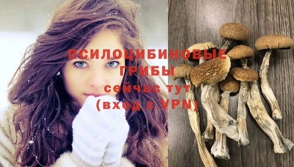 прущая мука Абдулино