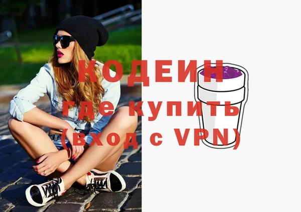 индика Абаза