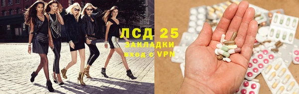 индика Абаза