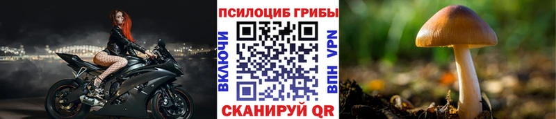 Псилоцибиновые грибы прущие грибы  где найти   Усть-Кут 