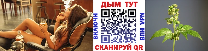 где найти наркотики Усть-Кут Каннабис тримм